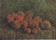 Vincent Van Gogh Still Life with Apples oil painting on canvas